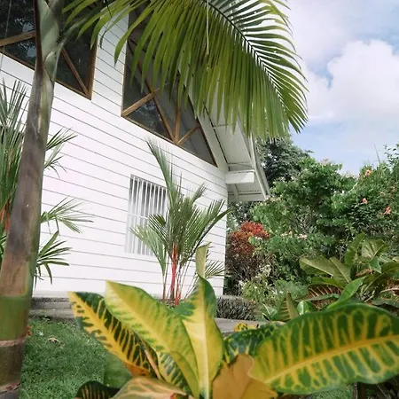Casa Moes Villa Cahuita Exterior photo