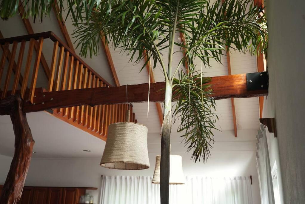 Holiday home Casa Moes Cahuita